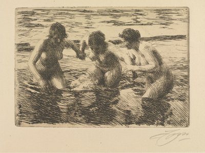  door Anders Zorn