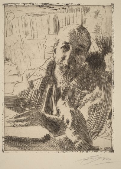  door Anders Zorn