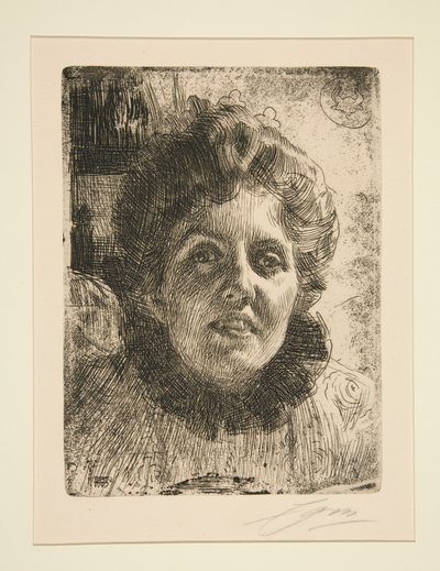  door Anders Zorn