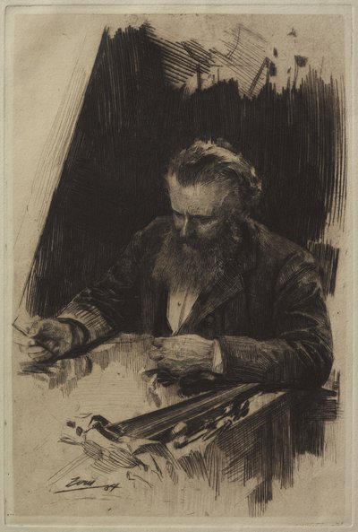  door Anders Zorn