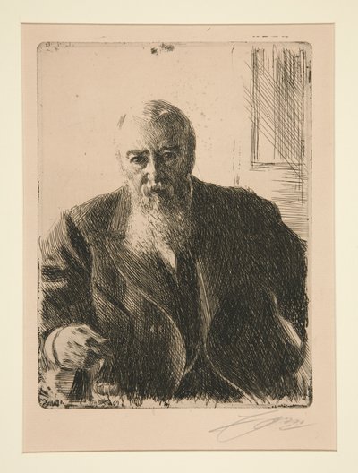  door Anders Zorn