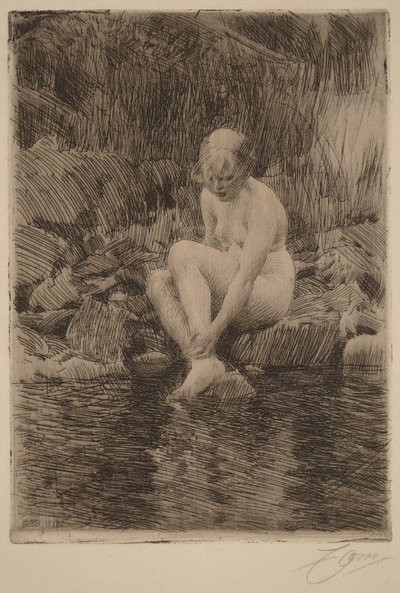  door Anders Zorn