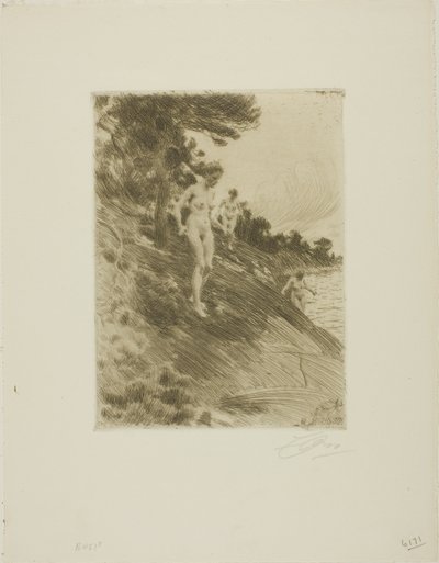 Geschrokken door Anders Leonard Zorn