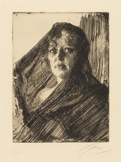  door Anders Zorn