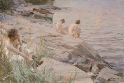  door Anders Zorn