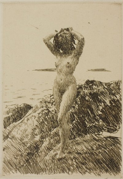 Hårtång (Zeewierkrans) door Anders Zorn