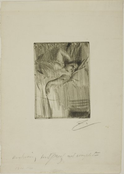 Het Ontwaken door Anders Leonard Zorn