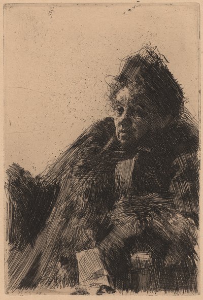  door Anders Zorn