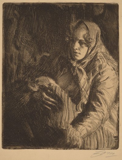  door Anders Zorn