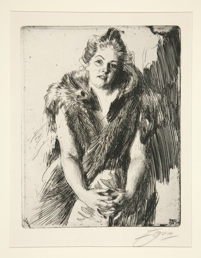  door Anders Zorn