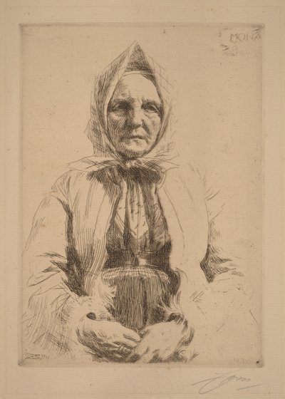  door Anders Zorn