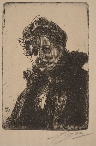  door Anders Zorn
