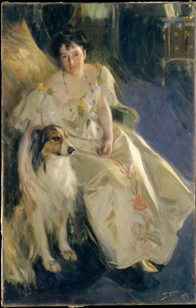  door Anders Zorn