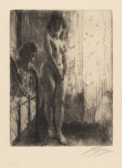  door Anders Zorn