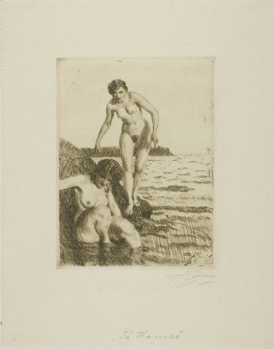 Op Hemsö Eiland door Anders Leonard Zorn