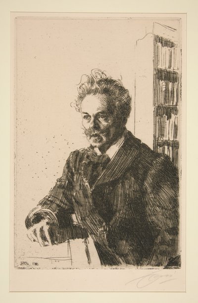  door Anders Zorn