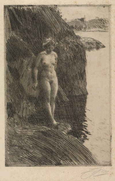 Afgrond door Anders Zorn