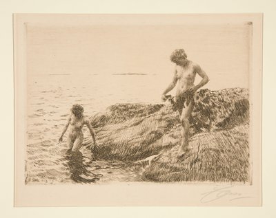  door Anders Zorn