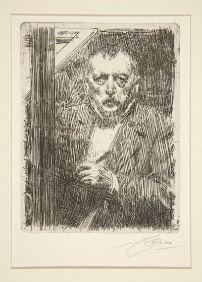  door Anders Zorn