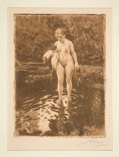  door Anders Zorn