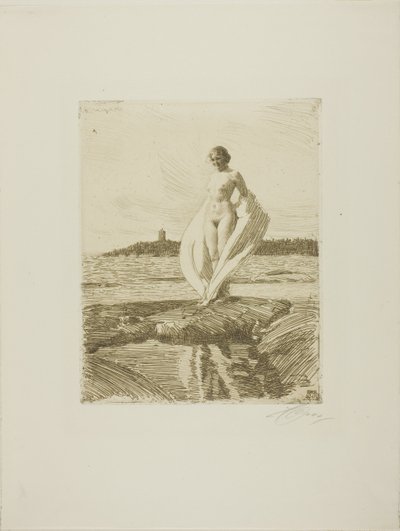 De zwaan door Anders Leonard Zorn