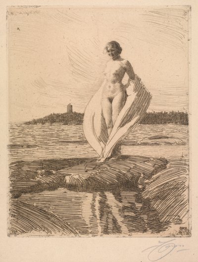 De zwaan door Anders Leonard Zorn
