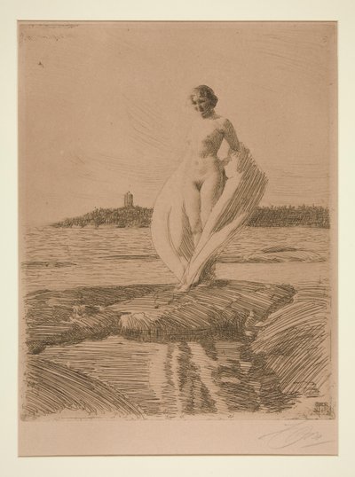 De Zwaan door Anders Leonard Zorn