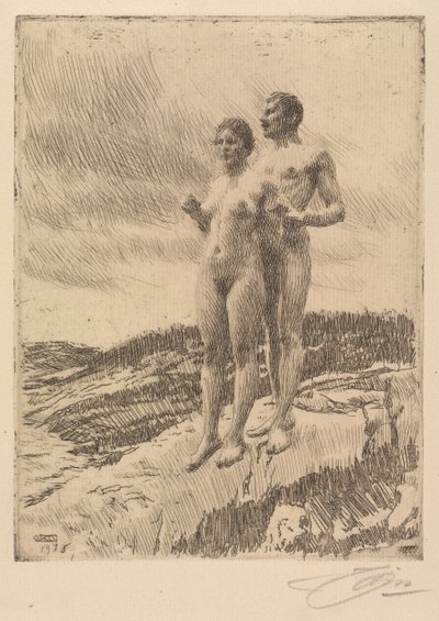 De Twee door Anders Leonard Zorn
