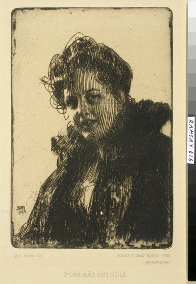  door Anders Zorn