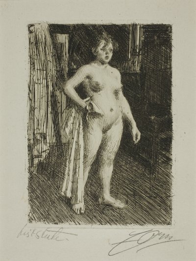 Venus van La Villette door Anders Leonard Zorn