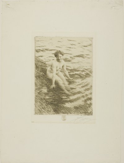 Nat door Anders Leonard Zorn