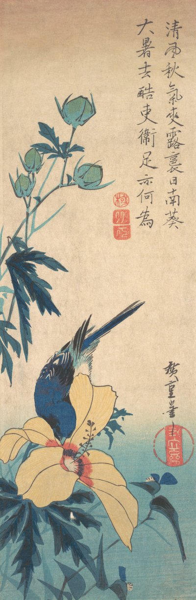 Hibiscus en Blauwborst, ca. 1832 door Ando Hiroshige
