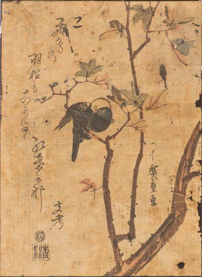 Studie van een slapende vogel op een tak door Ando or Utagawa Hiroshige