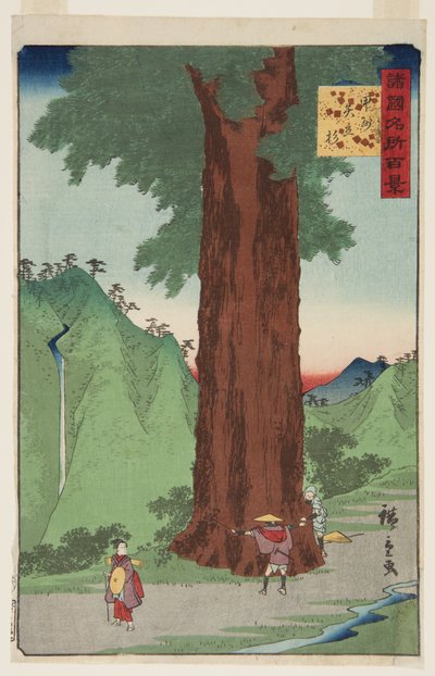 De Yatate-cederboom in de provincie Kai door Ando or Utagawa Hiroshige