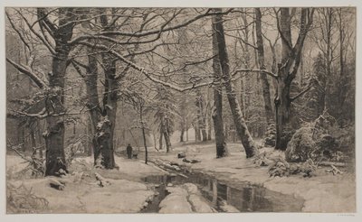 Winterdag in een bos door André Bork