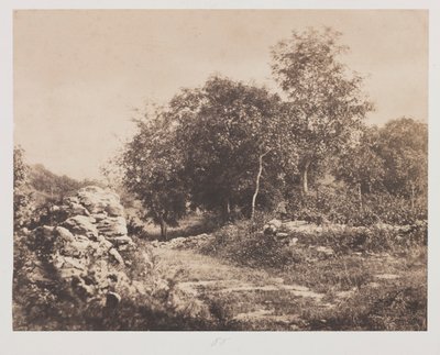Ongetiteld tafereel van Fontainebleau, ca. 1853 door André Giroux