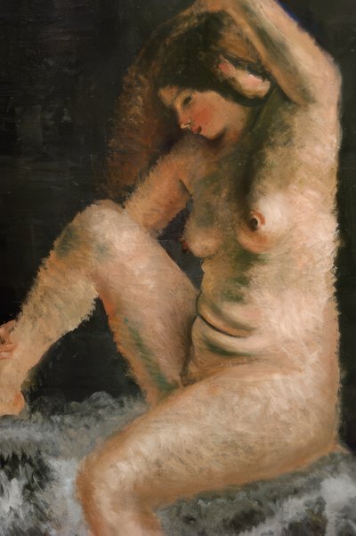Het mooie model door Andre Derain