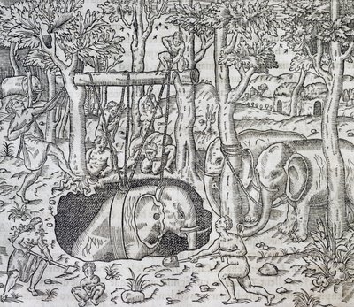 Olifantenjacht op het eiland Java, gravure uit Universele Kosmologie, door Andre Thevet, Parijs door Andre Thevet