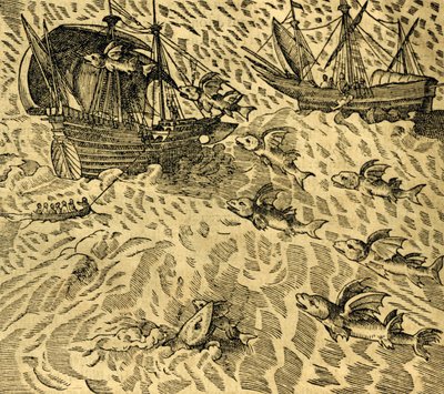 Vliegende vissen in tropische zeeën, gravure uit Cosmographie Universelle, door André Thevet (1504-1592), Parijs door Andre Thevet