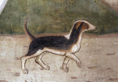 Atri, Kathedraal, Hond / Fresco door A. Delitio door Andrea Delitio