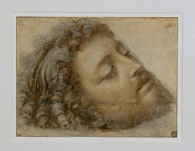 Hoofd van Johannes de Doper ... door Andrea Solario