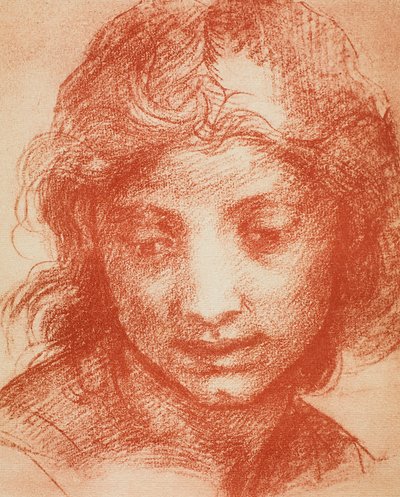 Hoofd van een jongen door Andrea del Sarto