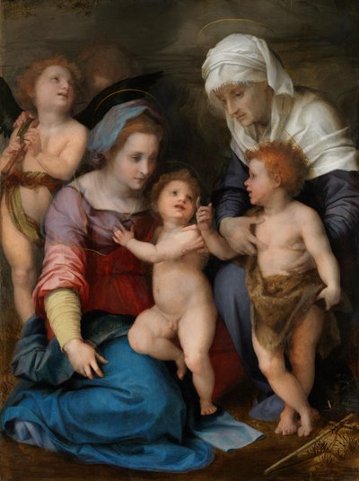  door Andrea del Sarto
