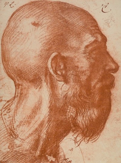 Mannenhoofd in profiel door Andrea del Sarto