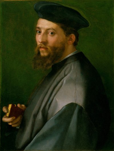 Portret van een man door Andrea del Sarto