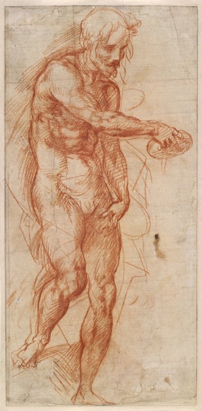Studie van Johannes de Doper, ca. 1518 door Andrea del Sarto