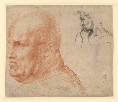  door Andrea del Sarto