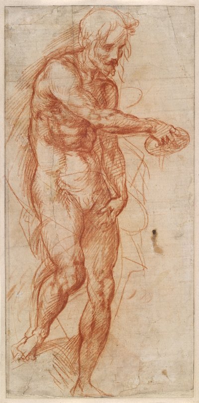  door Andrea del Sarto