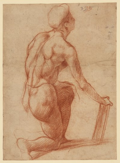 door Andrea del Sarto