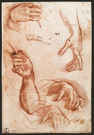Studie van handen (houtskooltekening) door Andrea del Sarto